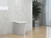 Умный приставной унитаз