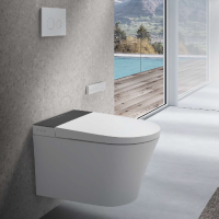 Унитаз подвесной в комплекте с крышкой-биде