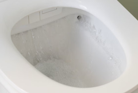 Seine Унитаз-биде в комплекте с инсталляцией и кнопкой Jacob Delafon  E34360