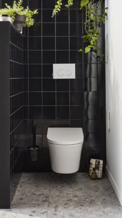 Seine Унитаз-биде в комплекте с инсталляцией и кнопкой Jacob Delafon  E34360