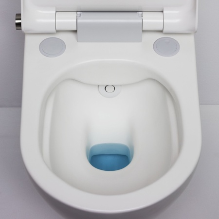 Cleanet Riva Унитаз подвесной 60х39.5х40.5 см с сиденьем-биде белый матовый Laufen 8.2069.1.757.000.1