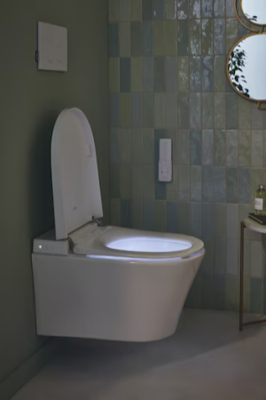 Seine Унитаз-биде в комплекте с инсталляцией и кнопкой Jacob Delafon  E34360