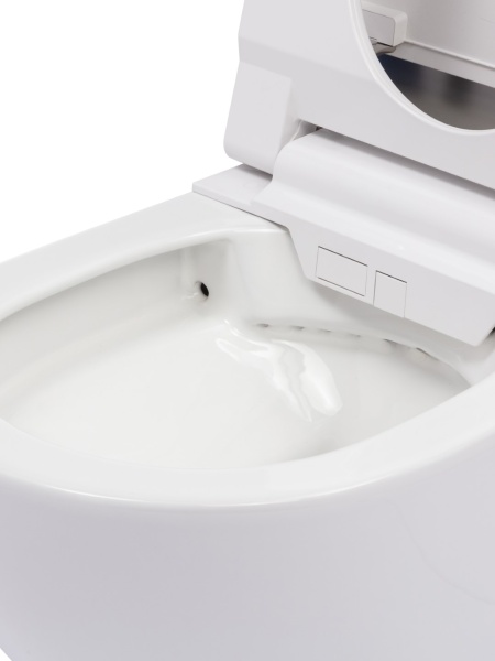  Унитаз-биде электронный с инсталляцией и кнопкой смыва Panasonic 2730