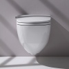 Cleanet Riva Унитаз подвесной 60х39.5х40.5 см с сиденьем-биде белый Laufen 8.2069.1.400.000.1